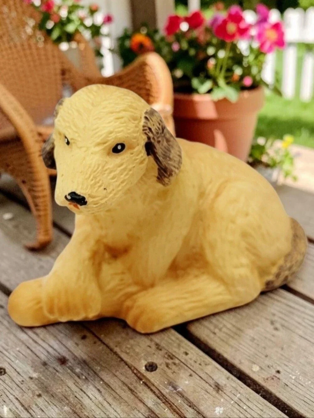Spaniel Retriever 1